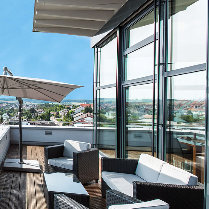 salamander evolution drive hst.jpg